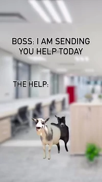 My boss sending me help like
