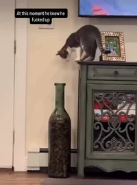 My move was calculated but man was i bad at math