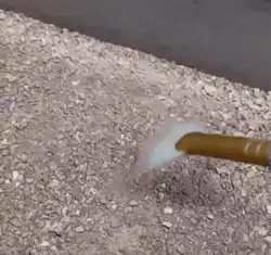 Natures camouflage is incredible