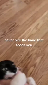 Never bite the hand that feeds you
