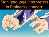 Sign language interpreters at an Eminem concert be like