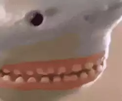 Taking sharks