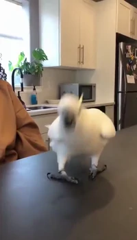 These are some sick dance moves