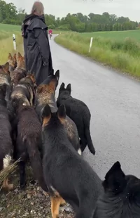 This discipline deserves an Oscar