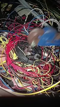 Tool nature is beautiful