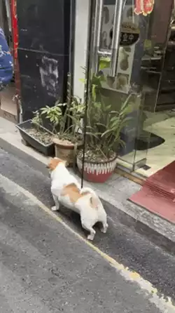 When theres no one to scratch your back