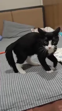 You have been warned