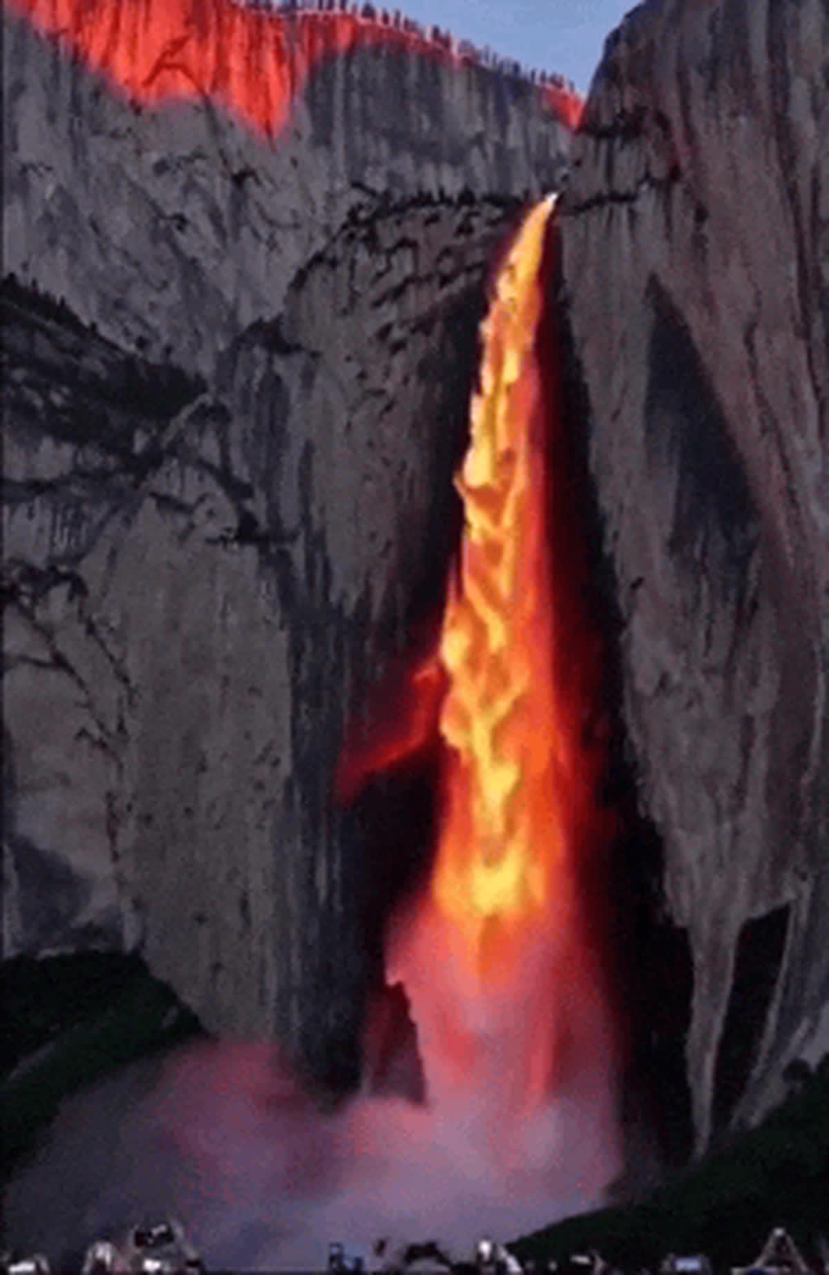 Some of the Best Nature GIFs You will See Today 😂
