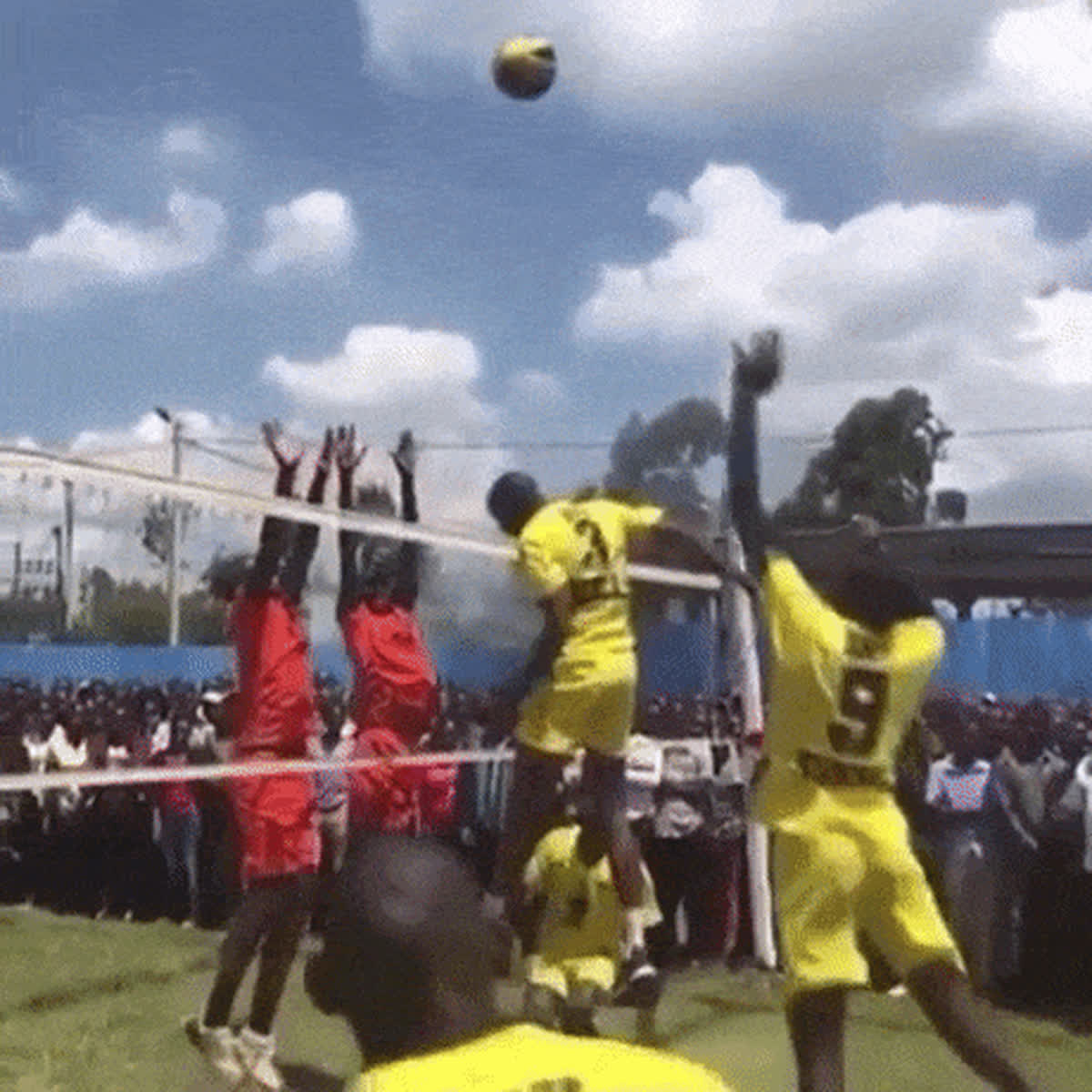 Some of the Best Sports GIFs You will See Today 😂