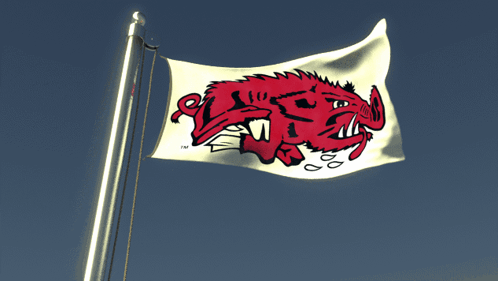 arkansas razorbacks flag gif – Trending GIF on GifVif