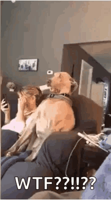 awkward gif – Trending GIF on GifVif