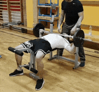 bench press gif – Trending GIF on GifVif