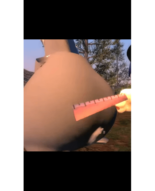 big chungus thicc ruler gif – Trending GIF on GifVif