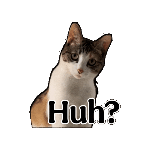 huh gif – Trending GIF on GifVif