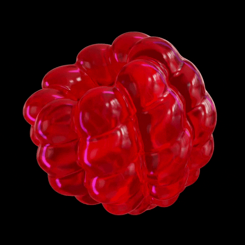 Woman Raspberry Gif raspberry 480 x 480 gif – Trending GIF on GifVif
