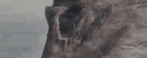 sandman arnold schwarzenegger disintegrate o6s72onrmh7sh2ta gif ...